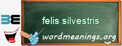 WordMeaning blackboard for felis silvestris